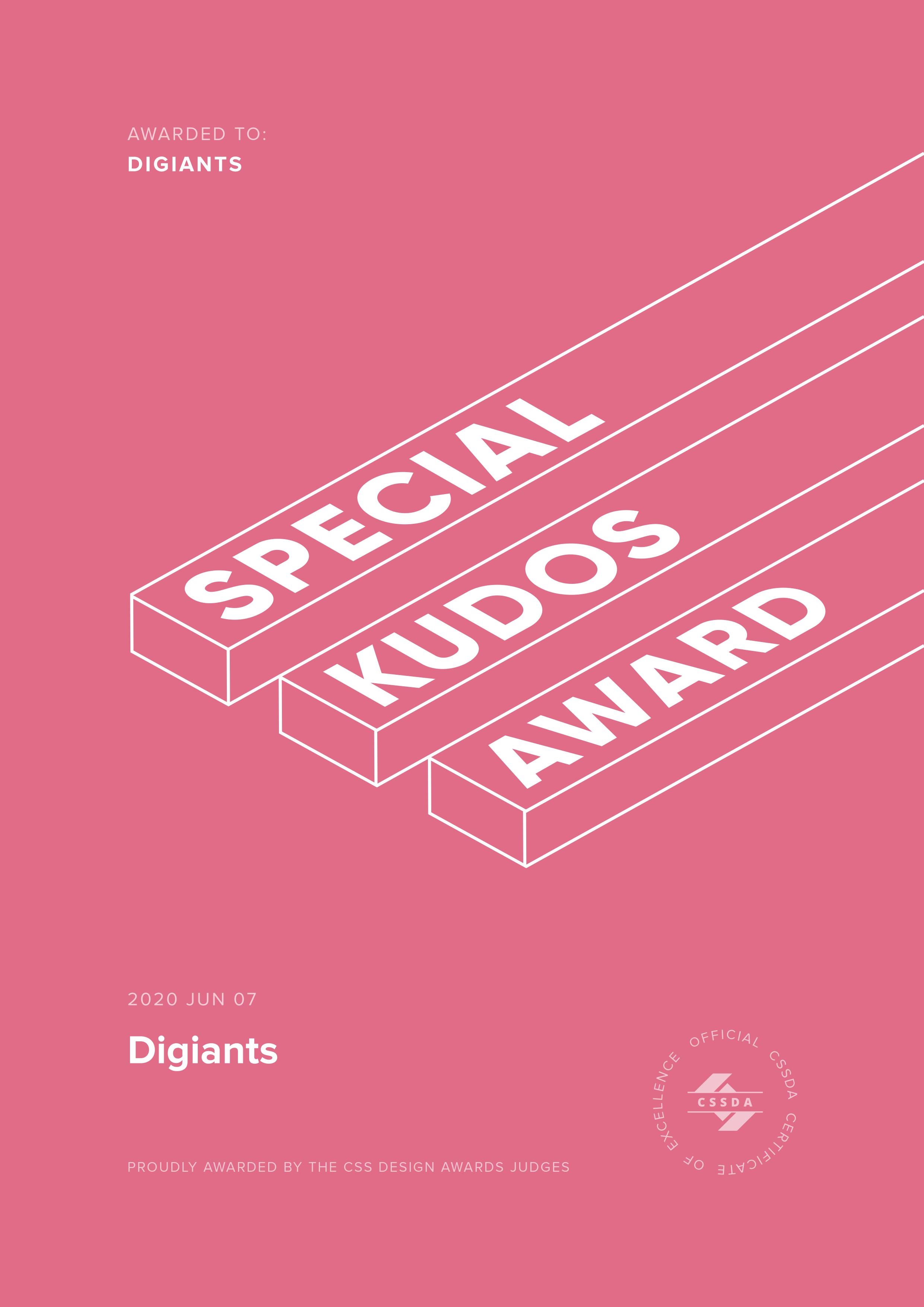Special Kudos Award